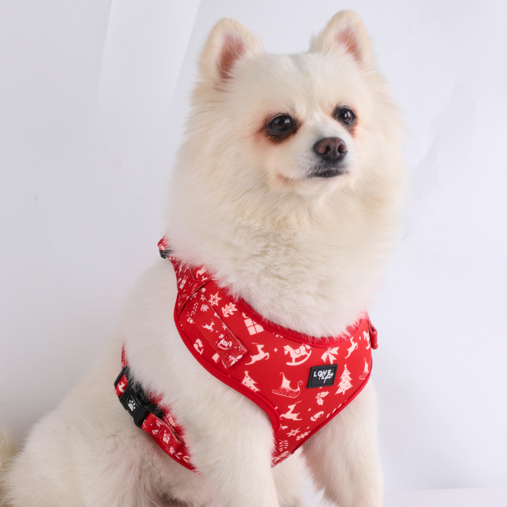 Christmas Pattern Harness