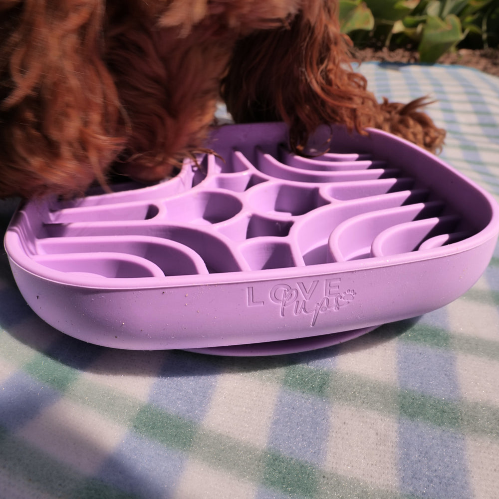 Silicone Slow Feed Dog Bowl