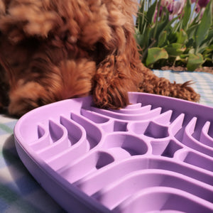 Silicone Slow Feed Dog Bowl