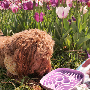 Silicone Slow Feed Dog Bowl