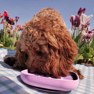 Silicone Slow Feed Dog Bowl
