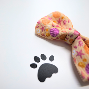 Seashell Bow Tie