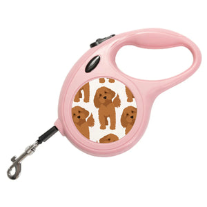 Cavapoo Retractable Dog Lead