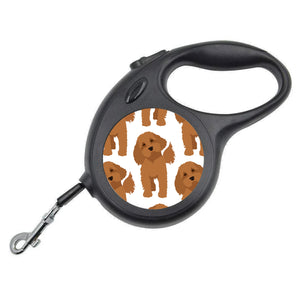 Cavapoo Retractable Dog Lead