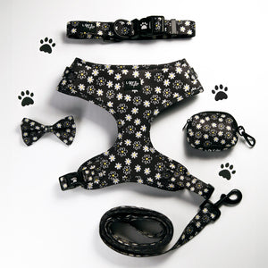 Daisy Love Harness Bundle