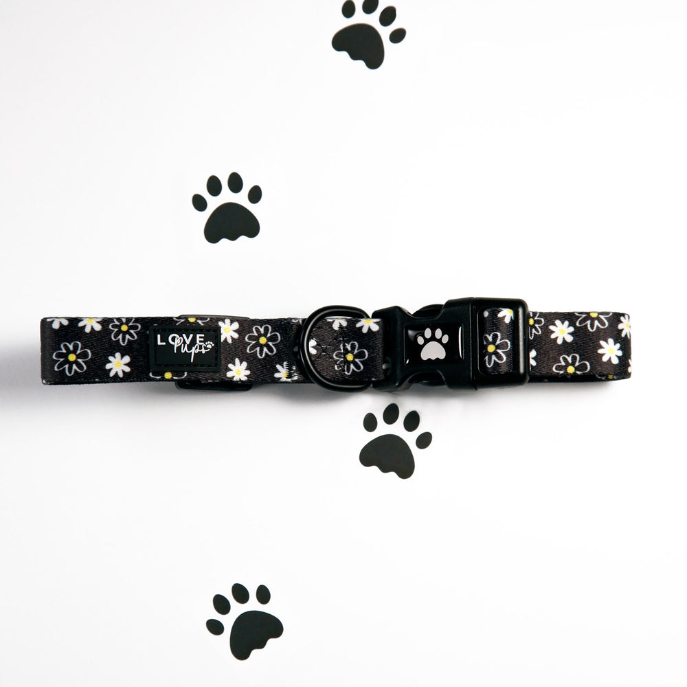 Daisy Love Harness Bundle