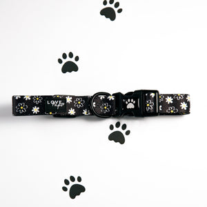 Daisy Love Harness Bundle