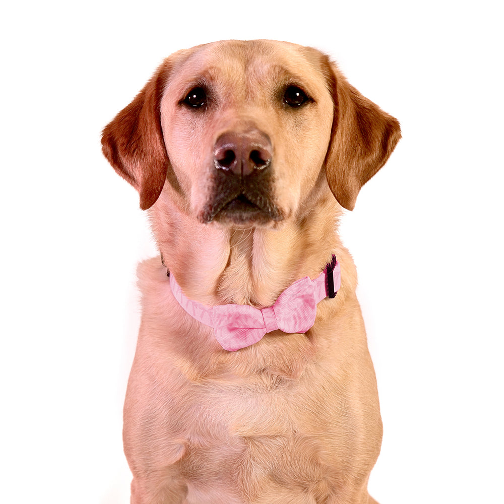Pink Bows Bow Tie