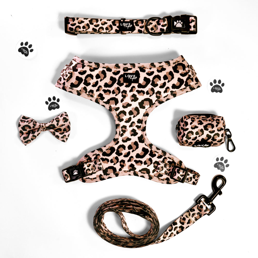 Leopard Print Harness Bundle