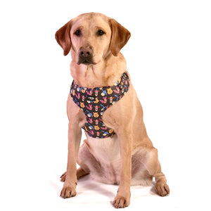 Winnie & Friends Harness