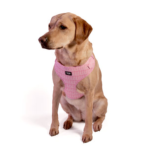 Pink Bows Harness
