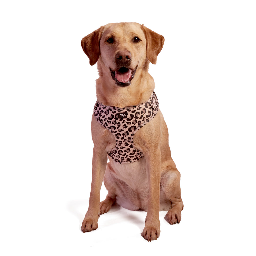 Leopard Print Harness Bundle – LoveCases - Main Image