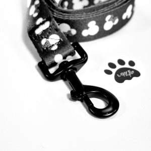 Mickey & Minnie Lead