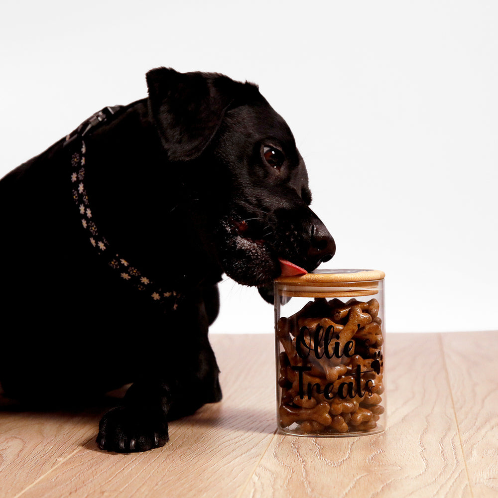 Personalised Dog Treat Jar