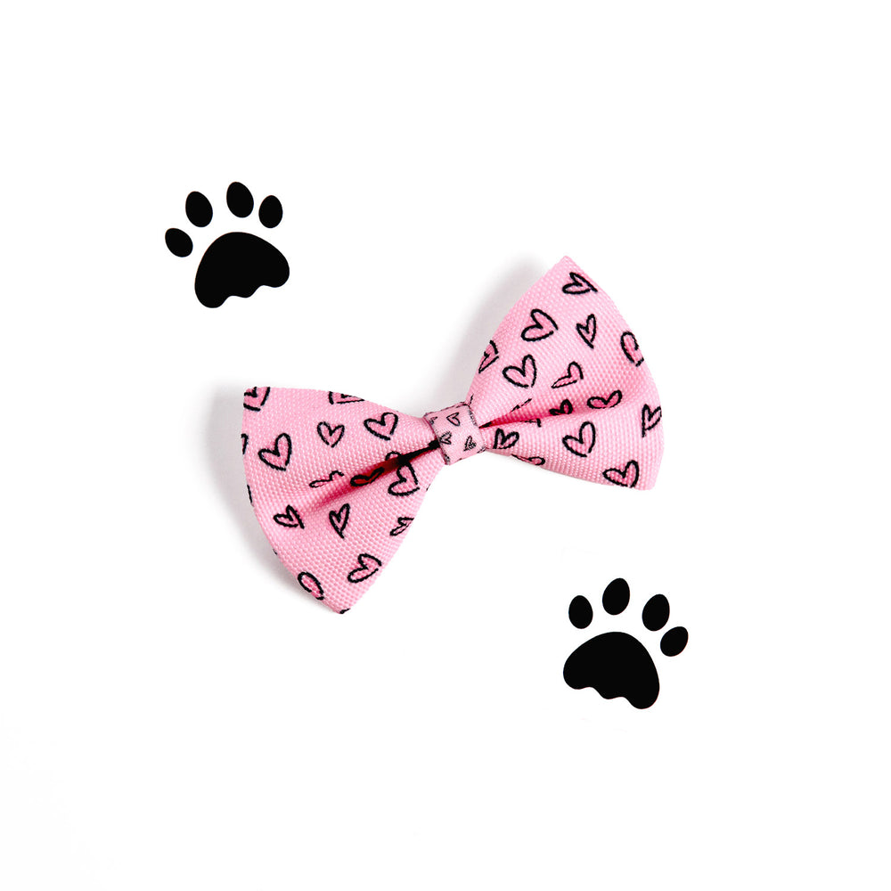 Scattered Hearts Harness Bundle