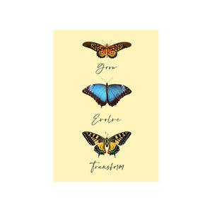 Butterfly Postcard 🦋