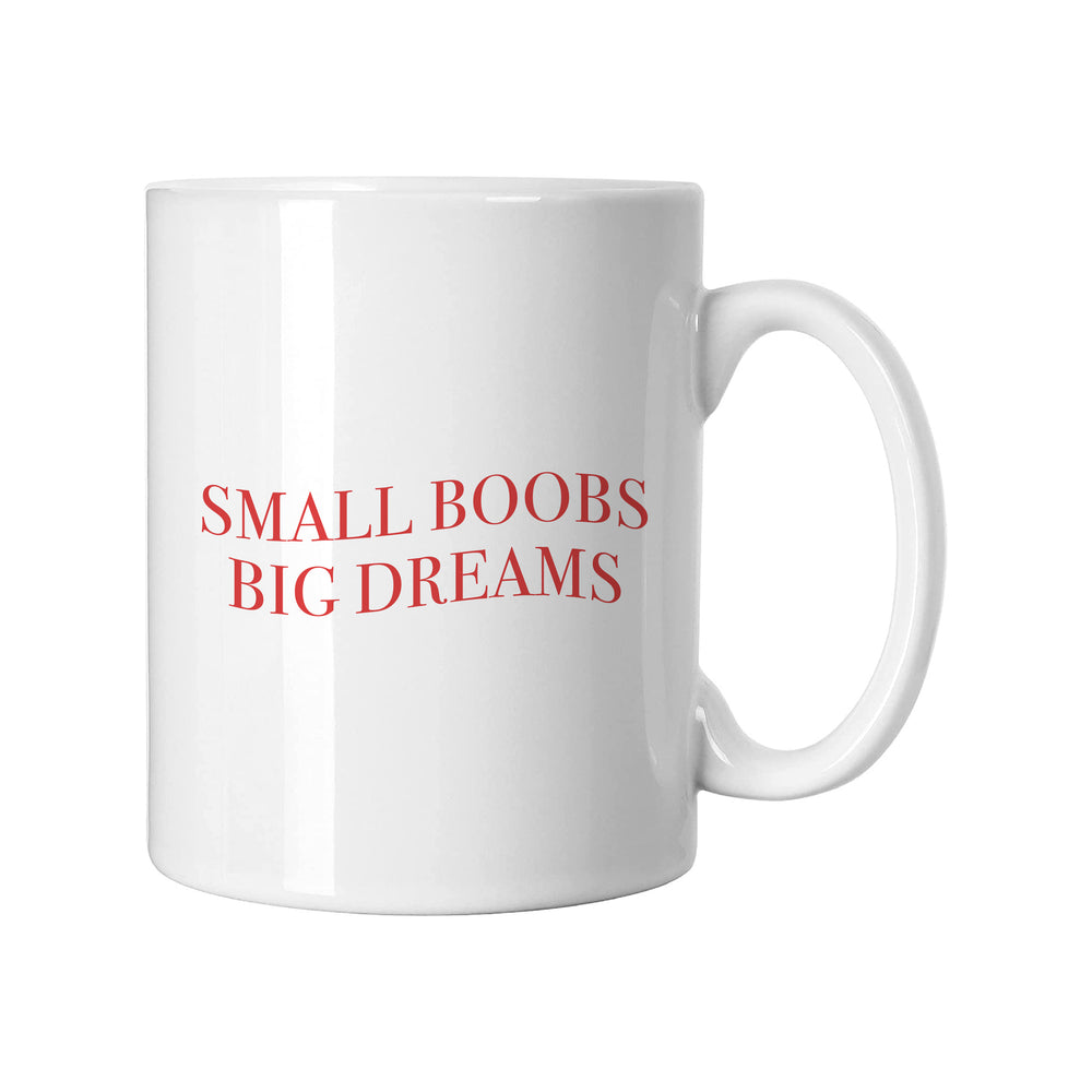 Small Boobs Big Dreams Slogan White Mug